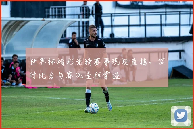 世界杯精彩竞猜赛事现场直播，实时比分与赛况全程掌握
