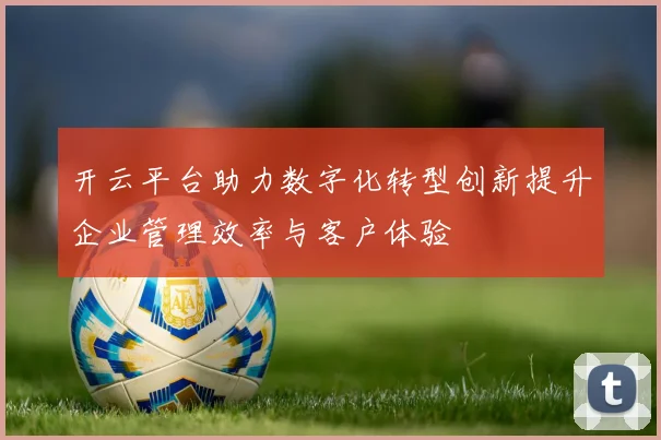 开云平台助力数字化转型创新提升企业管理效率与客户体验