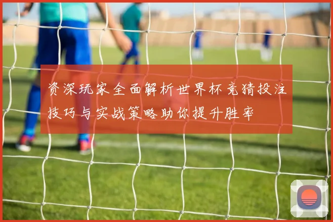 资深玩家全面解析世界杯竞猜投注技巧与实战策略助你提升胜率