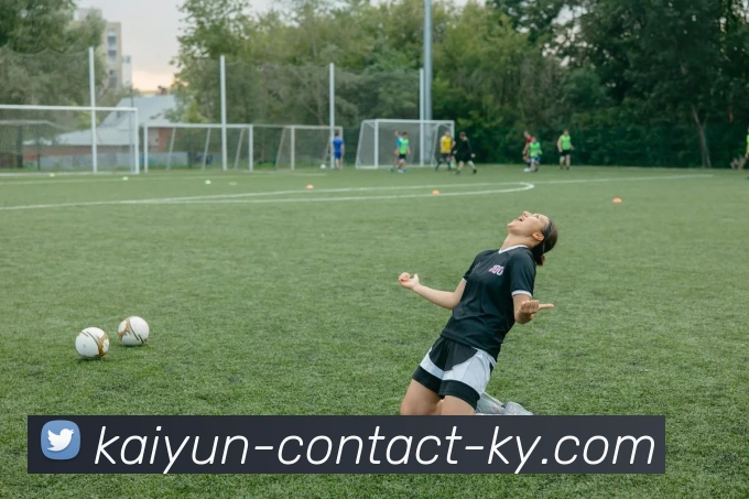 开云平台生态图